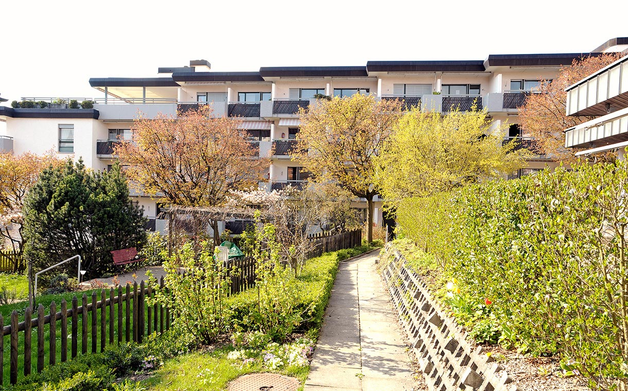 Die Siedlung Schaffhauserplatz: zentral und grün