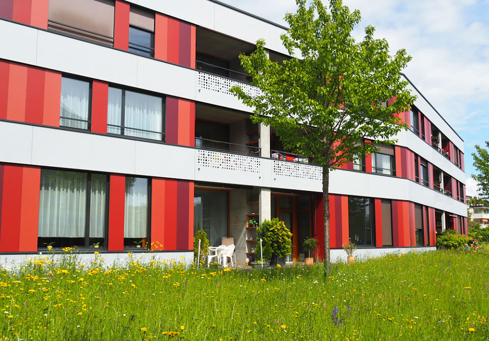 Naturholzhecken, Blumenwiesen, Jungbäume, Schafe: Die SAW setzt auf eine naturnahe Bewirtschaftung ihrer Aussenanlagen und engagiert sich für ein besseres Klima in der Stadt und in den Siedlungen.